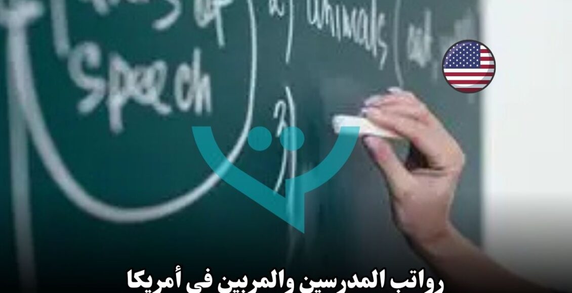 رواتب المدرسين والمربين في أمريكا: كم يكسب معلم اللغة الإنجليزية؟