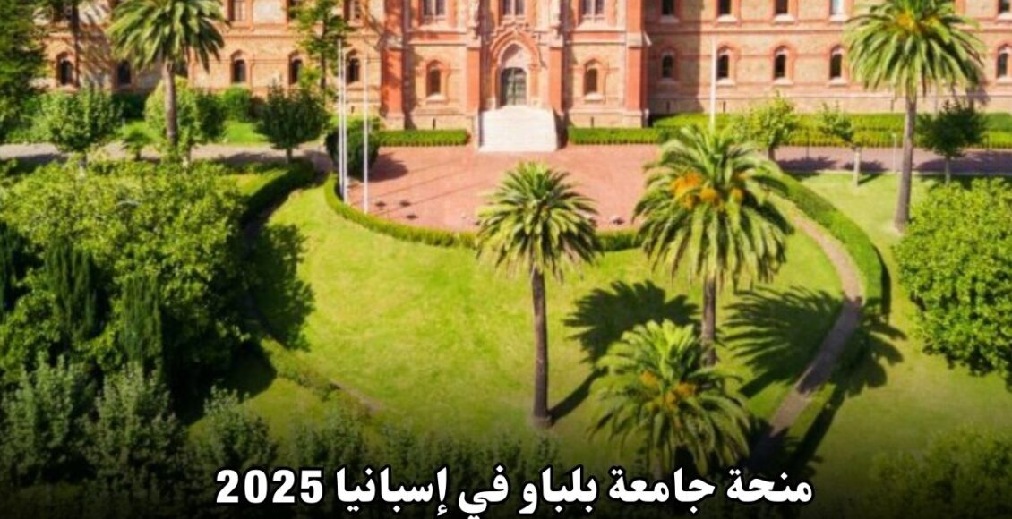 منحة جامعة بلباو في إسبانيا 2025: فرص مميزة للدراسة في واحدة من أفضل الجامعات الأوروبية