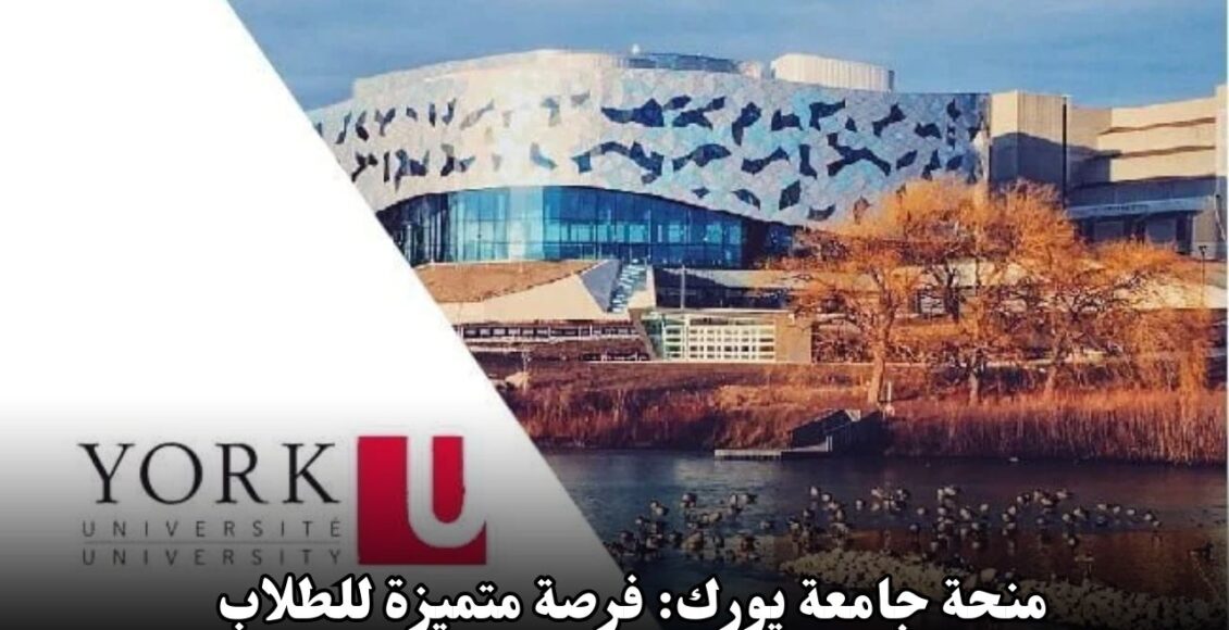 منحة جامعة يورك: فرصة متميزة للطلاب الدوليين