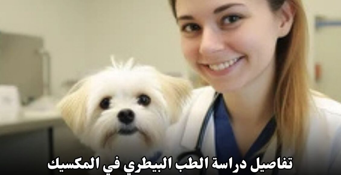 تفاصيل دراسة الطب البيطري في المكسيك