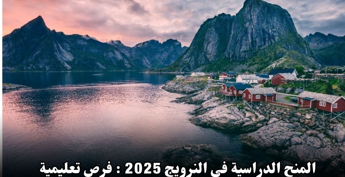 المنح الدراسية في النرويج 2024: فرص تعليمية متميزة للطلاب الدوليين