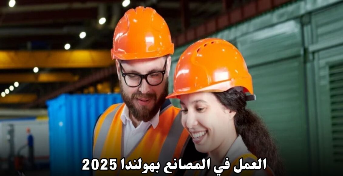 العمل في المصانع بهولندا 2025: فرصة ذهبية لتحقيق الاستقرار المالي