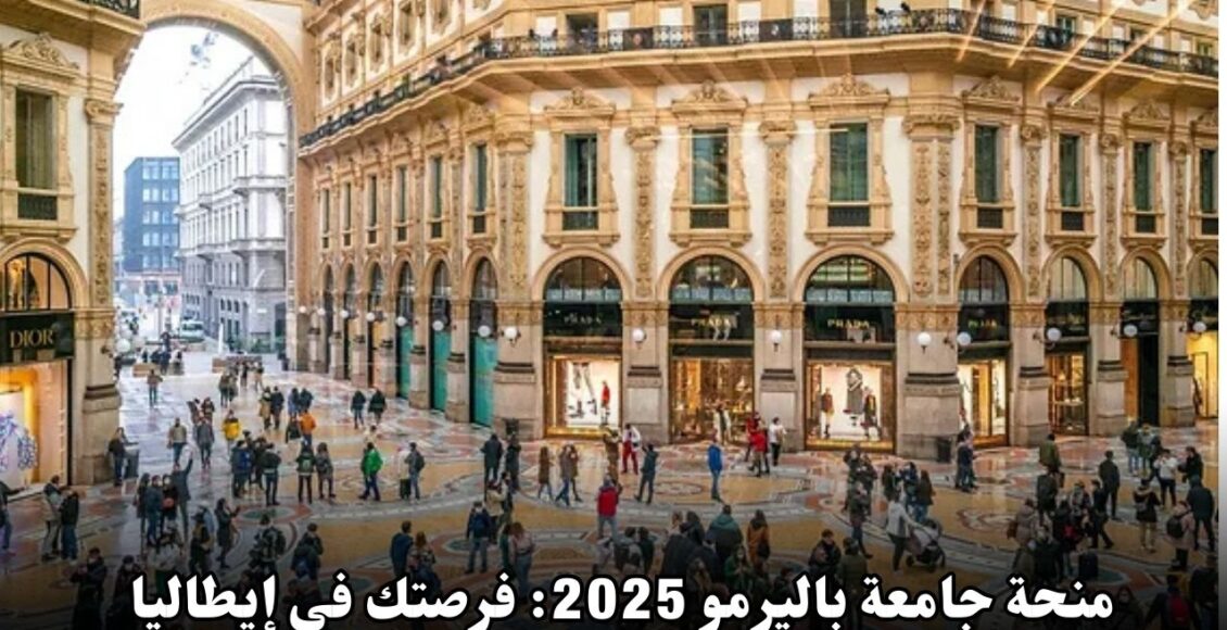 منحة جامعة باليرمو 2025: فرصتك للدراسة في إيطاليا