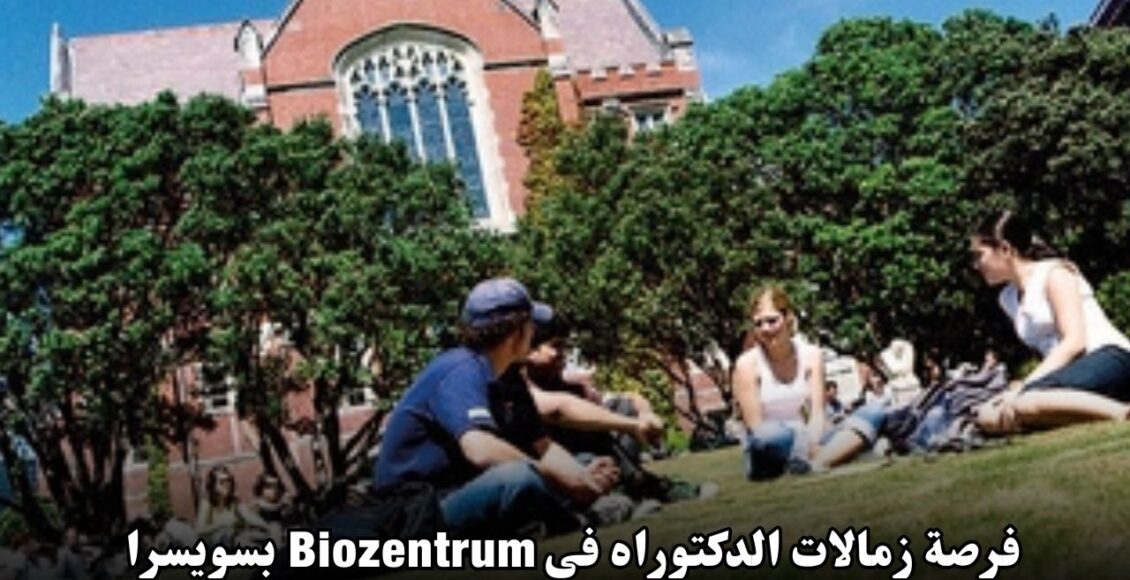 فرصة زمالات الدكتوراه في Biozentrum بسويسرا لعام 2025: دعم أكاديمي متقدم وفرص بحثية عالمية